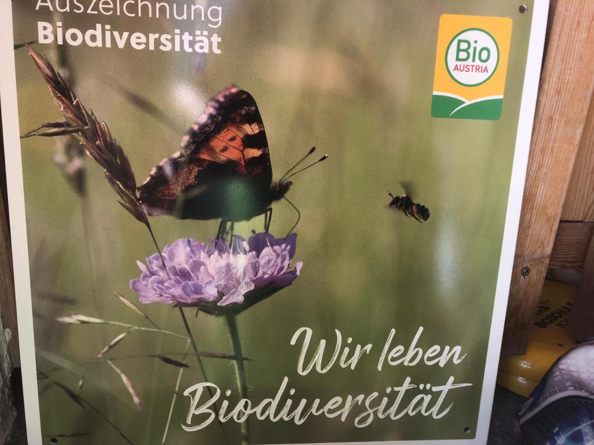 شقة Biohof Sauschneider سانكت مارغارثين إم يونغاو المظهر الخارجي الصورة